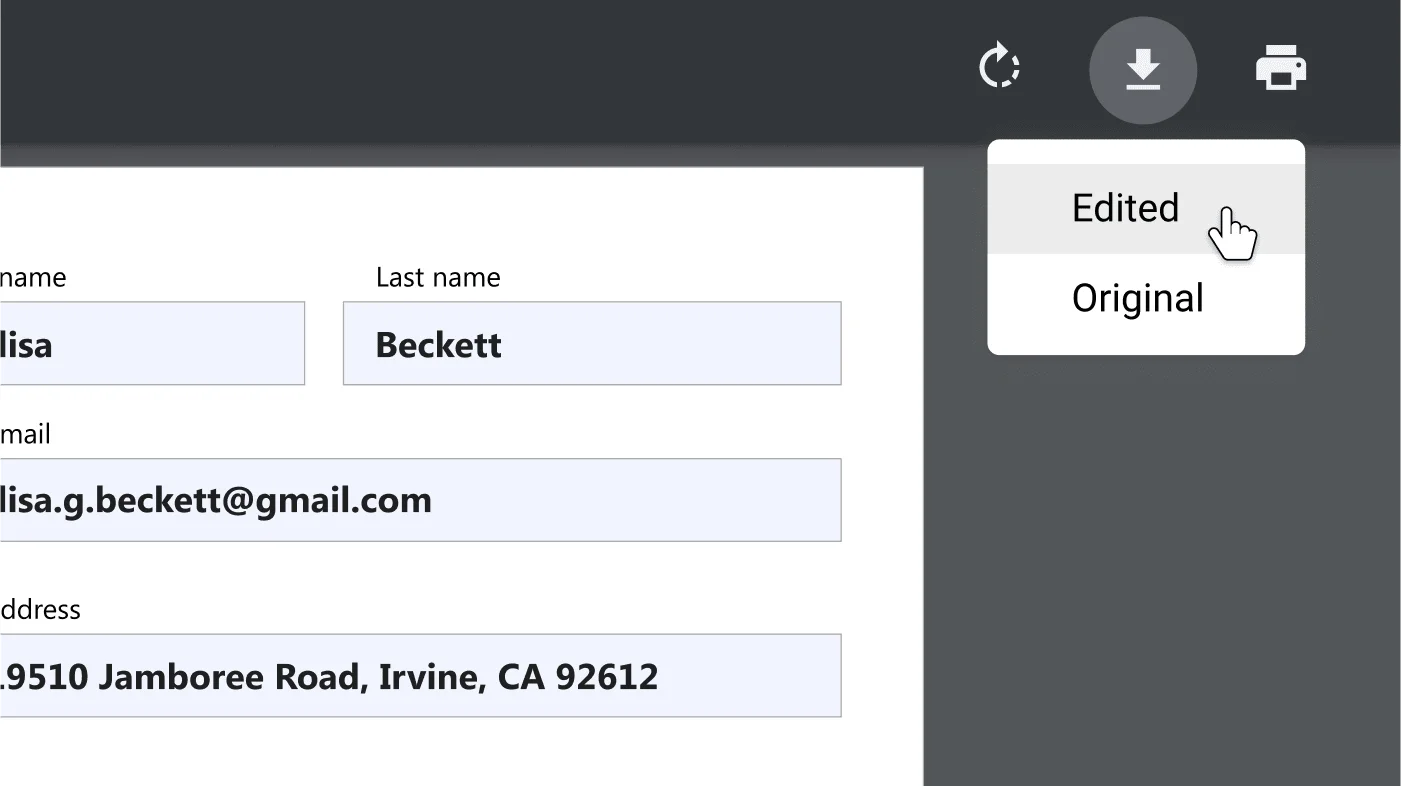 Chrome Browser window with an open PDF document, zoomed-in on the download and print options menu.