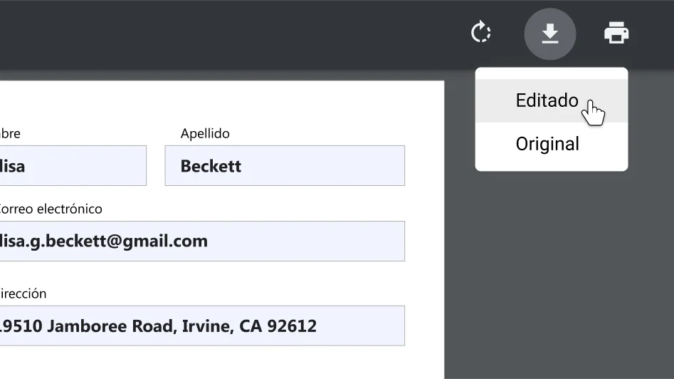 Ventana del navegador Chrome con un documento PDF abierto y la vista ampliada del menú de opciones de impresión y descargas.